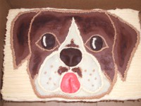 /album/fotogalerie/hlava-psa-jpg/